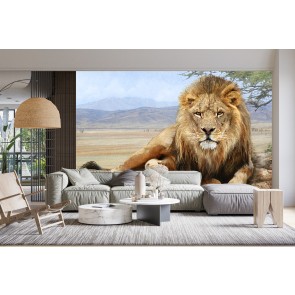 Lion in a Shady Spot Wall Mural by Chris Vest