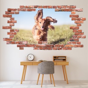 Daschund Dog Red Brick 3D Hole In The Wall Sticker
