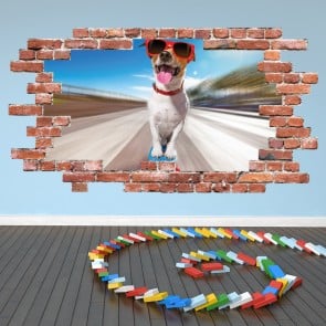 Skateboard Dog Red Brick 3D Hole In The Wall Sticker