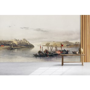View of Esouan and the Island of Elephantine Wall Mural Artist David Roberts