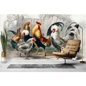 Black Polish Hen, Malay Cock, Hen (1820) Wall Mural Artist Oliver Goldsmith