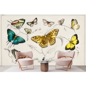 Collection of butterflies (1820) Wall Mural Artist Oliver Goldsmith