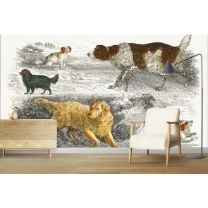 Collection of various dogs (1820) Wall Mural Artist Oliver Goldsmith