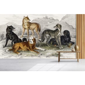 Great Dog of Nepal (1820) Wall Mural Artist Oliver Goldsmith