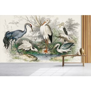 Little Egret (1820) Wall Mural Artist Oliver Goldsmith