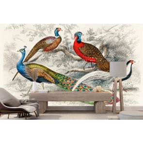 Silver Pheasant (1820) Wall Mural Artist Oliver Goldsmith