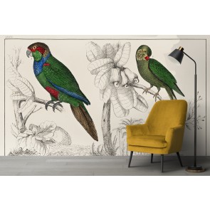 Two Parakeets Wall Mural Artist Oliver Goldsmith