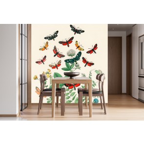 Butterflies and Moths Wall Mural Artist William Forsell Kirby