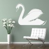 Swan Birds & Feathers Wall Sticker