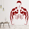 Bodybuilder Weight Training Wall Sticker