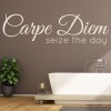 Carpe Diem Bathroom Quote Wall Sticker