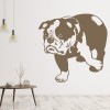 English Bulldog Dog Pets Animals Wall Sticker