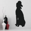 Sitting Poodle Dogs Pets Wall Sticker