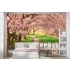 Pink Cherry Blossom Trees Wall Mural Wallpaper