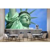 Statue Of Liberty America USA Wall Mural Wallpaper
