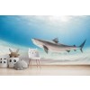 Tiger Shark Wall Mural Wallpaper