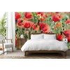 Red Poppies In Spring Meadow Wall Mural Wallpaper