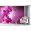 Pink Orchid Flowers Wall Mural Wallpaper