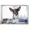 Blue Chihuahua Puppy Dog Wall Mural Wallpaper