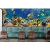 Coral Reef Fish Panoramic Wall Mural Wallpaper