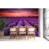 Purple Lavender Field Wall Mural Wallpaper