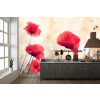 Red Poppy Flowers Floral Wall Mural Wallpaper