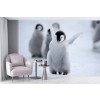 Penguin Chick Nursery Wall Mural Wallpaper