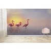 Three Flamingos Wall Mural Wallpaper