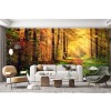 Autumn Forest Sunlight Wall Mural Wallpaper