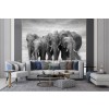 Elephant Herd Wall Mural Wallpaper