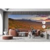 New Hampshire, USA Forest Wall Mural Wallpaper