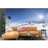 Winter Forest Panoramic Wall Mural Wallpaper