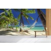 Palm Tree Beach Hammock Wall Mural Wallpaper