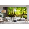 Green Trees Forest Wall Mural Wallpaper