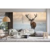 Red Stag Winter Forest Wall Mural Wallpaper