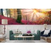 Sun Shines In Mystical Pink Forest Trees Wall Mural Wallpaper