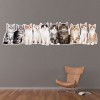Cats & Kittens Wall Sticker