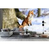 Red Fox In White Winter Woods Wall Mural Wallpaper