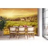 Vineyard Landscape Sunset Wall Mural Wallpaper