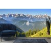 Spring Forest White Mountains Wall Mural Wallpaper