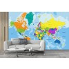 Colourful World Map Political Education Wall Mural Wallpaper
