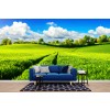 Spring Meadow Panoramic Cityscape Wall Mural Wallpaper
