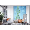 DNA Molecules Physics Science Wall Mural Wallpaper