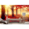 Red Autumn Forest Sunlit Trees Wall Mural Wallpaper