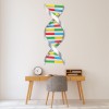 DNA Molecule Biology Science Wall Sticker
