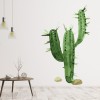 Prickly Cactus Green Plant Wall Sticker