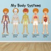 Body Systems Human Biology Wall Sticker