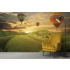 Hot Air Balloon Sunset Green Hills Wall Mural Wallpaper