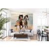Two Horses On Beach Wall Mural Wallpaper