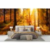 Autumn Forest Sunset Panoramic Wall Mural Wallpaper